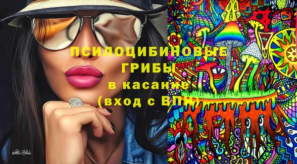 амф Липки