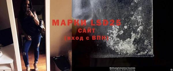 амф Липки