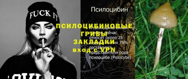первитин Ладушкин