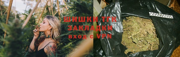 амф Липки