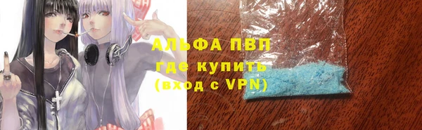 амф Липки