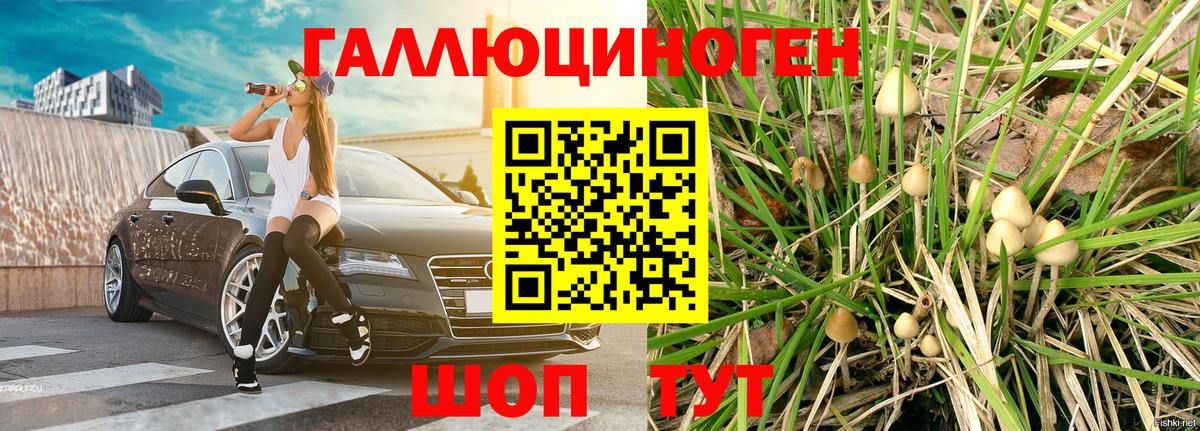 Псилоцибиновые грибы мухоморы  Чебоксары 